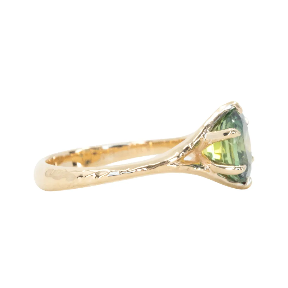 2.40ct Oval Teal Green Parti Sapphire Evergreen Carved Split Shank Six Prong Ring in 14k Yellow Gold