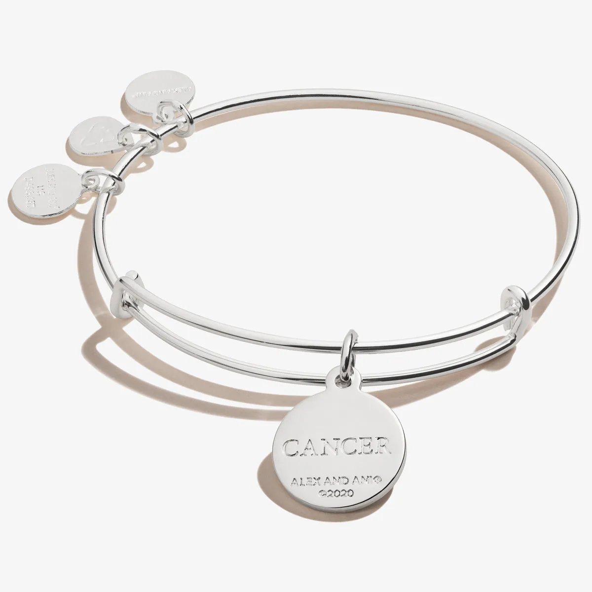 Cancer Zodiac Charm Bangle