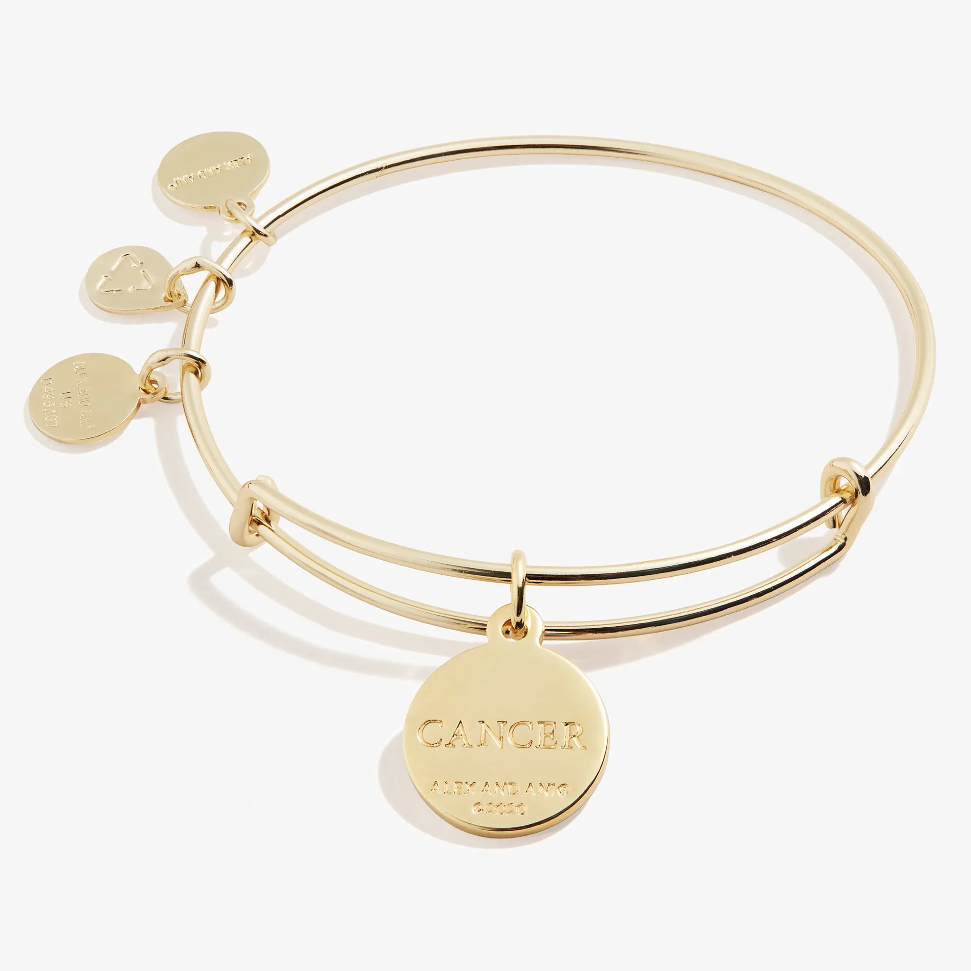 Cancer Zodiac Charm Bangle