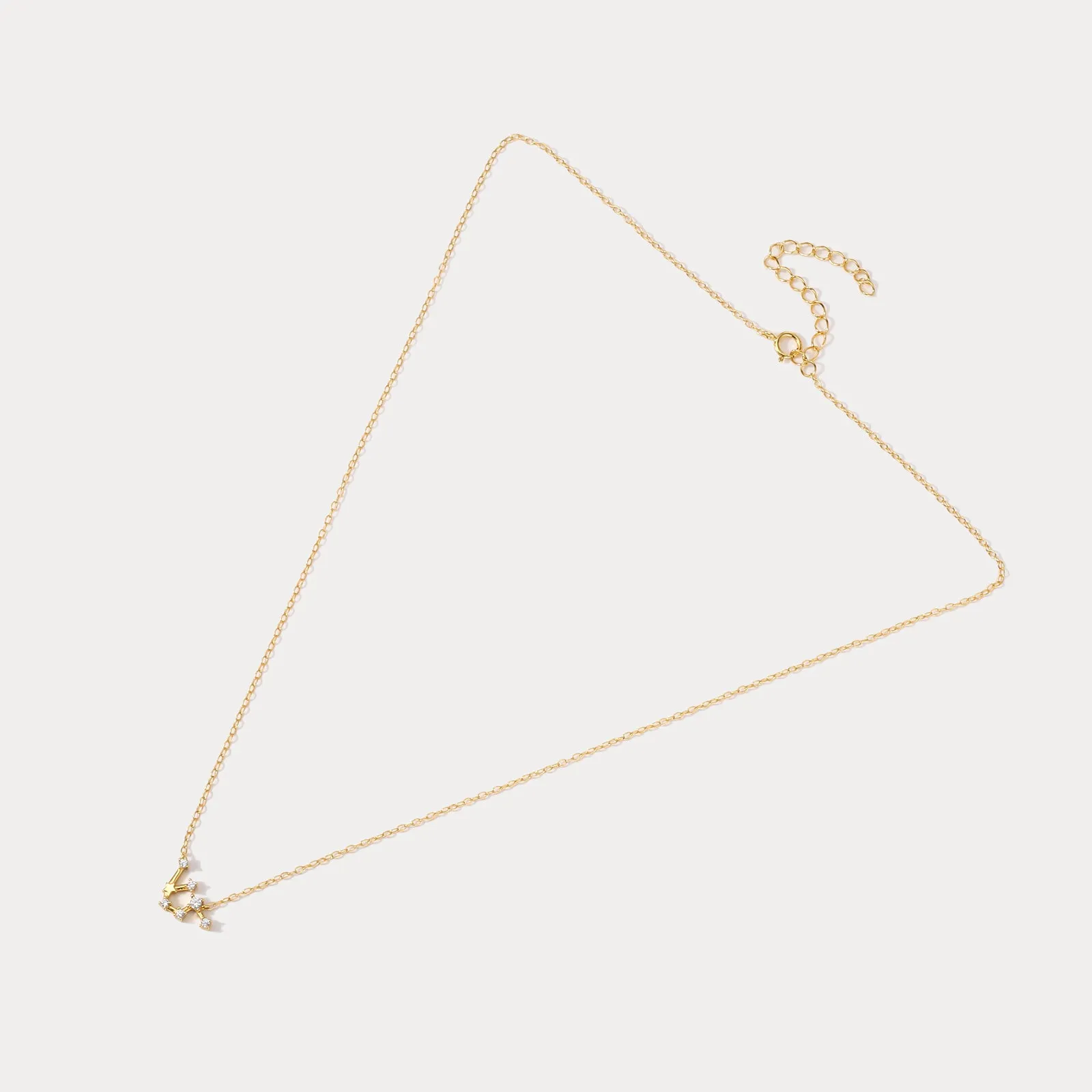 Constellation Silver Necklace - Aquarius