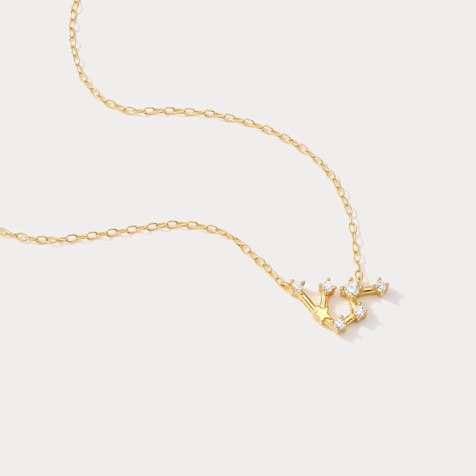 Constellation Silver Necklace - Aquarius