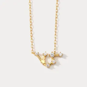 Constellation Silver Necklace - Aquarius