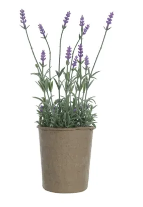 Faux Lavender Plant