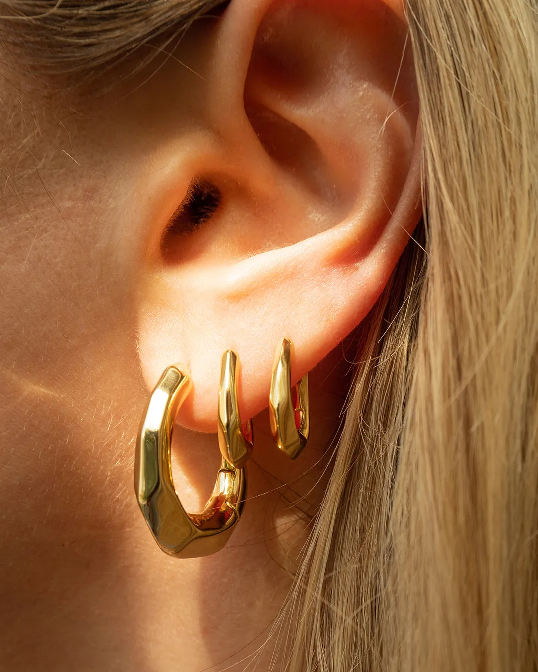 The Delphine Hoops