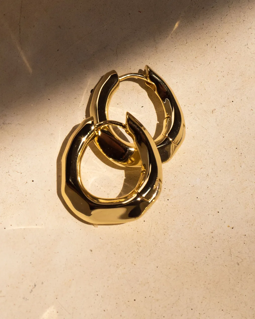 The Delphine Hoops